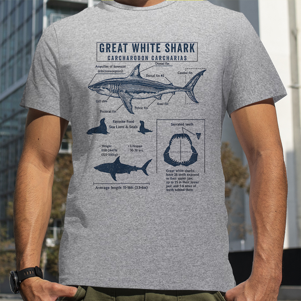 Great White Shark Anatomy Shar – обзор и цена Street Fashion Loverboy