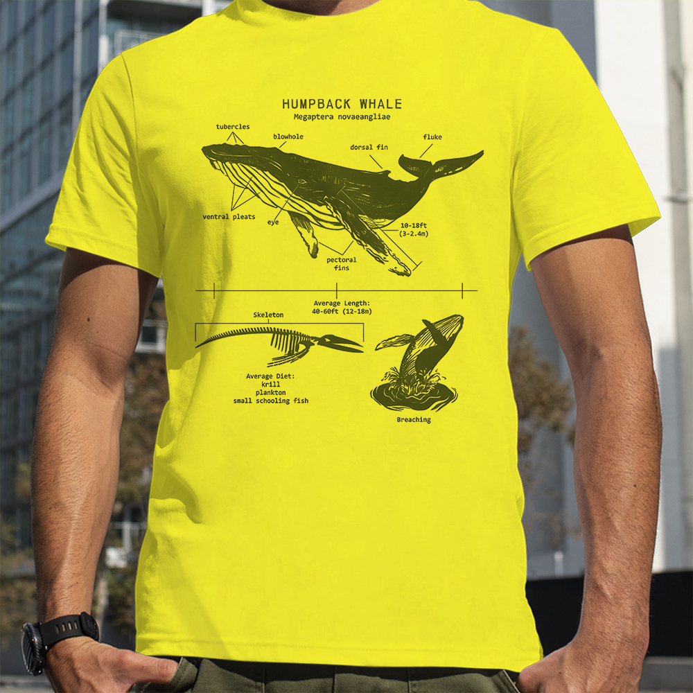 Humpback Whale Anatomy Shark L – обзор и цена Street Fashion Loverboy