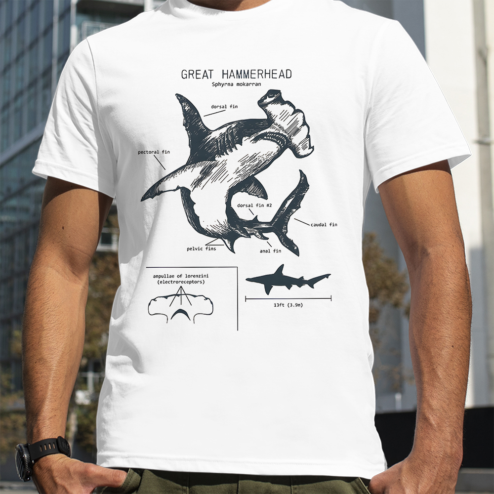 Hammerhead Shark Anatomy Shark – обзор и цена Street Fashion Loverboy